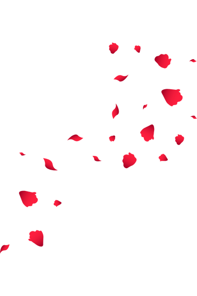 falling rose (1)